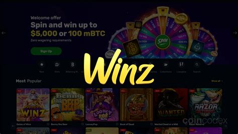 9winz review|9winz Casino Review (2024) .